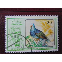 Куба 1990 г. Птицы.