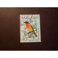 Малави 1988 г.Серолобый кустарниковый сорокопут./47а/