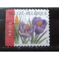 Бельгия 2002 Крокусы, марка из буклета с обрезом