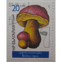 Болгария марка 1987 г. Грибы