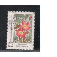 СССР-1960, (Заг.2416), гаш.(с клеем) , Флора, Цветы