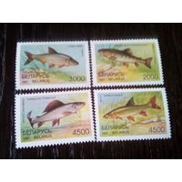 Беларусь 1997  рыбы