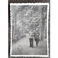 Фото двух военных. Прогулка по саду. Германия. 6х8.5 см