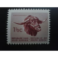 ЮАР 1961 стандарт, буйвол
