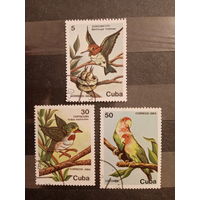 Куба 1984. Фауна. Птицы