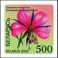 Шестой стандартный выпуск Беларусь 2002 год (493) 1 марка