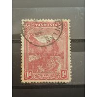 Тасмания 1899г. Ландшафт