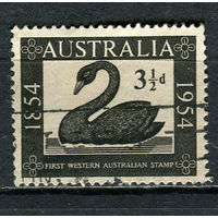 Австралия - 1954 - Лебедь 3 1/2d - [Mi.247] - 1 марка. Гашеная.  (Лот 24EY)-T25P3