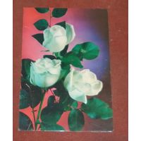 Открытка "Розы"" 1983г. чистая