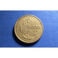 5000 лир 1995. Турция.
