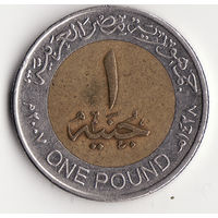 1 фунт 2007 год
