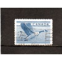 Канада.Ми-274.Канадский гусь (Бранта канадская) в полете. Серия:Канадский гусь.1952.