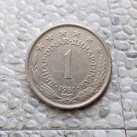 1 динар 1981 года Югославия. Социалистическая Югославия.
