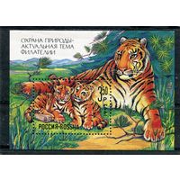 Россия 1992. Охрана природы. Сибирский тигр, блок
