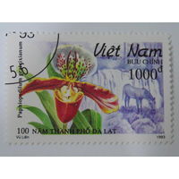 Вьетнам 1993 г. Цветы.