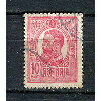Королевство Румыния - 1909/1914 - Король Кароль I 10B - [Mi.223] - 1 марка. Гашеная.  (Лот 50EA)-T2P22