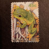 Австралия. Древесная лягушка