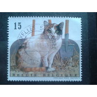 Бельгия 1993 Кошка
