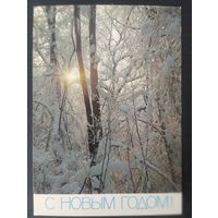 СССР 1987 открытка С новым годом, фото Жаворонкова.