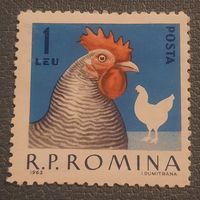 Румыния 1963. Фауна. Породы кур