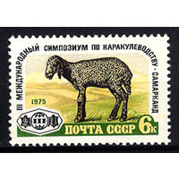 1975 СССР. Каракулеводство