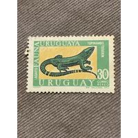 Уругвай 1970. Рептилии. Tupinambis Teguixin