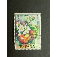 Испания 1975. Флора