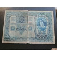 Австрия 1000 крон 1902