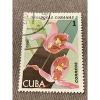 Куба 1980. Цветы. Bletia Purperia. Марка из серии