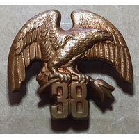 Знак "Чёрный орёл" 38-й воздушно-десантной бригады в бронзе винтовой (1999-2002 г.г.) + БОНУС. Торг уместен!!!