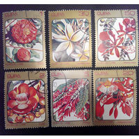 Куба 1984 г. Цветы. Флора. полная серия из 6 марок #0066-Ф1
