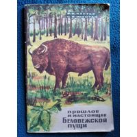 Б.В. Кестер и др. Прошлое и настоящее Беловежской пущи 1968 год