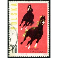 Лошади Польша 1963 год 1 марка