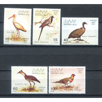 Западная Сахара - 1991г. - Птицы - полная серия, MNH - 5 марок