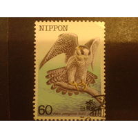 Япония 1984 хищная птица