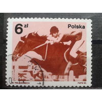 Польша, 1983, Золотая медаль олимпиады в Сараево по конкуру