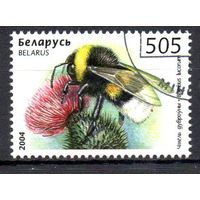 Пчелы, осы, шмели Беларусь 2004 год (574) 1 марка