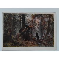 Почтовая карточка 1961 г. "И.И. Шишкин "Утро в сосновом лесу". Государственная Третьяковская галерея.