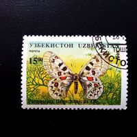 Марка Узбекистан 1995 год Бабочка