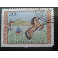 Монголия 1976 живопись, конь