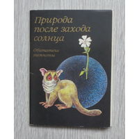 Природа после захода солнца. Обитатели темноты. Москва, 1987 год. Полный набор редких и красочных открыток: 16 штук. Чистые. Отличное состояние.