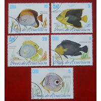 Куба. Рыбы. ( 5 марок ) 1985 года. 9-19.