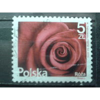 Польша 2015 Роза Михель-3,5 евро гаш