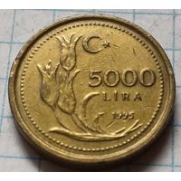 Турция 5000 лир, 1995      ( 2-9-5 )