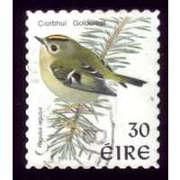 1 марка 1998 год Ирландия Птичка 1057