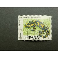 Испания 1975. Фауна - Земноводные