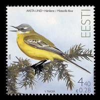 2006 Эстония 551 Фауна. Птица года. Желтая трясогузка **