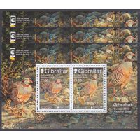 2019 Гибралтар 1896-1897/B138x3 Европа Септ / Птицы 35,00 евро