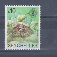 [2263] Сейшеллы 1977. Морская фауна.Моллюск каури. MNH. Кат.4 е.