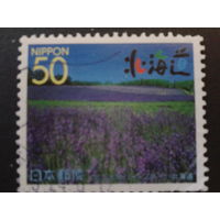 Япония 1999 поле цветов